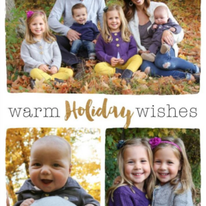 Warm Holiday Wishes 3 Holiday Multi-Photo Card