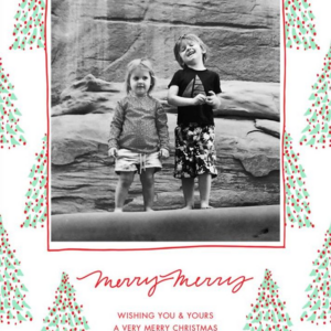 619449956.png Fir Forest Frame Photo Card