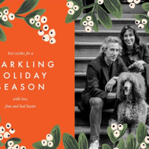 Mistletoe Accent Border Vertical Photo Card