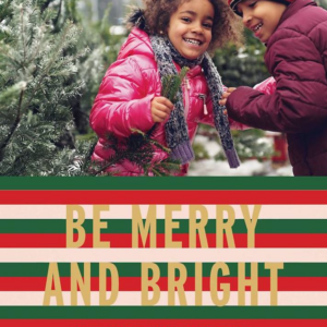 Bright Stripes Holiday Photo Card