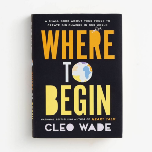 Where to Begin: A Small Book About Your Power to Create Big Change in Our Crazy World