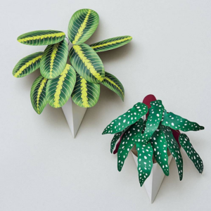 619450578_31fc99ae-05e6-4eeb-9945-5216748fe33d.png Potted Hanging Plants Craft Kit