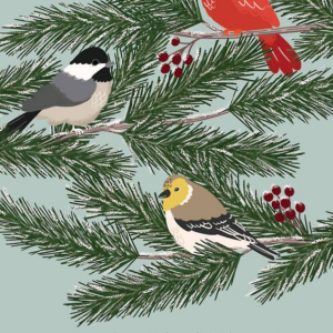 Winter Birds Holiday Card