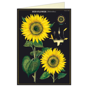 619450741.png Sunflowers Greeting Card