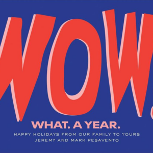 Understatement New Year Card