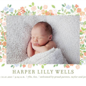 Painted Meadow Horizontal Birth Announcement