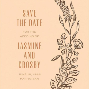 619451843.png Wild Meadows Bellini Save the Date Card