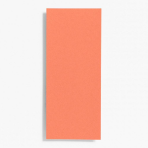 619452937.png #10 Papaya Note Cards
