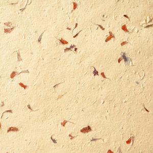 619456183.png Pressed Flowers Handmade Paper