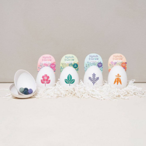 619456650.png Egg Seed Kit