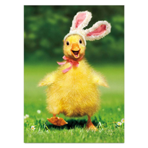 619456918.png Duckling Bunny Easter Card