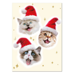 619457946.png Merry Catmas Holiday Card