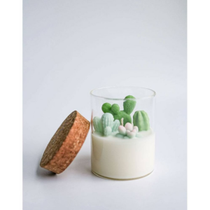 619459417.png Succulent Candle