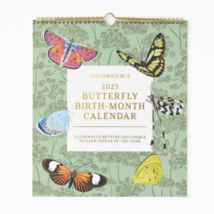 2025 Paper Source Butterfly Birth Month Calendar Wall Calendar with Foil