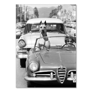 619462467.png Stopping Traffic Dog Birthday Card