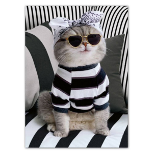Cat in Stripes Birthday Card