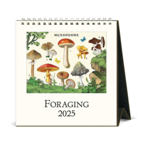 619720378.png 2025 Foraging Desk Calendar