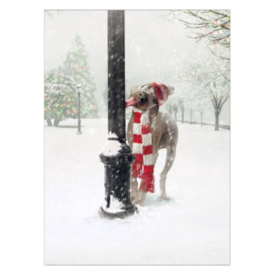XMAS Dog Stuck on Pole