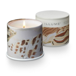 Driftwood Large Vanity Tin Candle