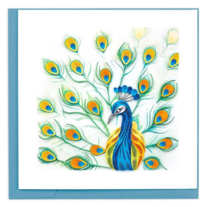 BLANK Quilling Peacock Feathers