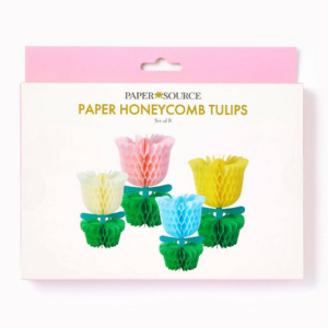 621224885.png Honeycomb Tulips S/8
