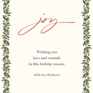 Cardinals Appear Holiday Card