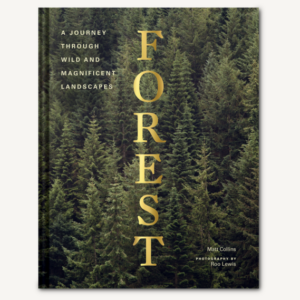 ForestMattCollins.png Forest