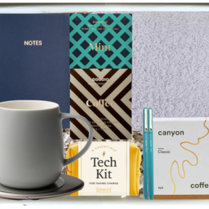 CONCENTRIX // OPTION 1