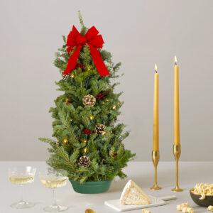 The-sill_prelit-tabletop-tree-variant_2.jpg 28" Pre-Lit Tabletop Tree