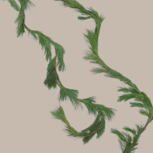 15 Ft. White Pine Garland