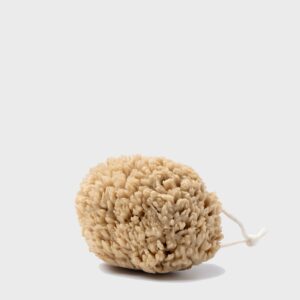 Gentle Wool Sea Sponge