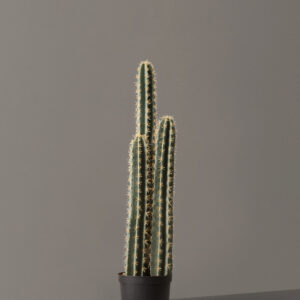 Faux Floor Cactus