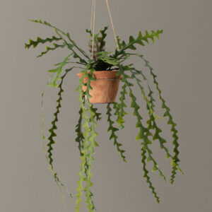 Faux Hanging Ric Rac Cactus