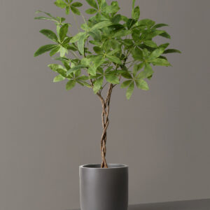 Faux Braided Money Tree