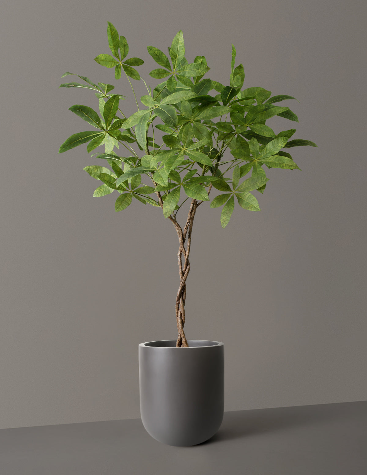 Faux Braided Money Tree