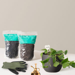 the-sill_I-dig-you-kit_grant_black.jpg I Dig You Kit