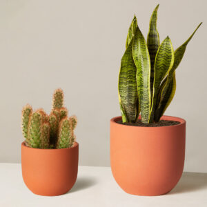 the-sill_Jetsetter-Duo_Small-Medium_Grant_Terracotta_Variant_c03c7df4-ee55-4cb5-858f-874f18232f4d.jpg Jetsetter Duo