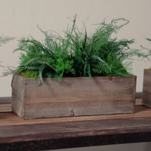 the-sill_artisan-moss_preserved-moss-small-wooden-planter-box-with-preserved-moss-and-ferns_gallery_03.jpg Preserved Moss & Fern Box