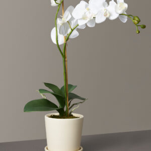 Faux Orchid