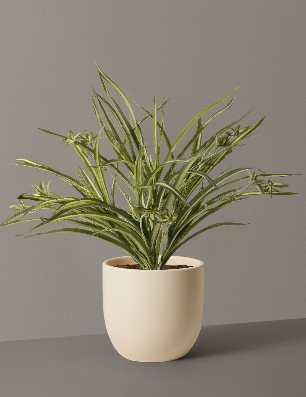 Faux Spider Plant