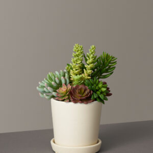 Faux Succulent Arrangement