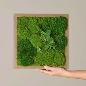 the-sill_living-moss-wall_gallery_all_02.jpg Small Preserved Living Wall 14" x 14"