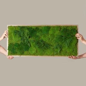 Medium Preserved Living Wall 40" x 18"