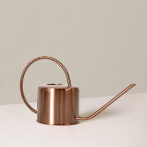 Metal Watering Can