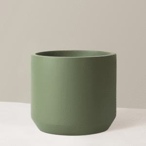 the-sill_mexia-planter_large_green_variant_4388bb42-5e38-4d7d-b144-3485db78c267.gif Large Mexia Planter