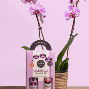 the-sill_orchid-care-duo_variant_02.jpg Orchid Care Duo