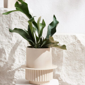 the-sill_roma-planter_gallery_all_all_01.jpg Roma Planter