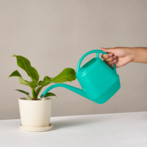 Watering Can