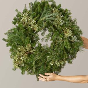 the-sill_wreath_variant_01_4e03065f-c710-43eb-9dec-534b29dfba66.jpg Holiday Wreath